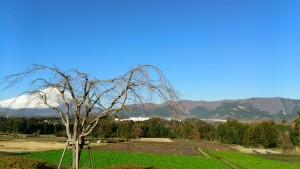 2015121801DSC_0540